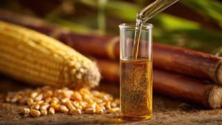 Maize Becomes India’s Largest Ethanol Feedstock